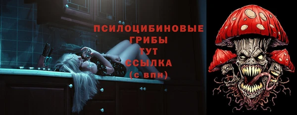 ПСИЛОЦИБИНОВЫЕ ГРИБЫ Сосновоборск
