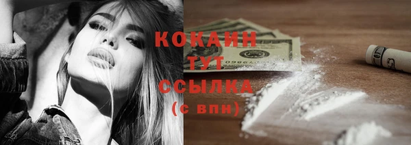 apvp Строитель